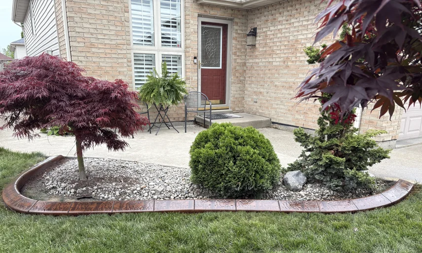 Warm copper-brown stamped concrete curbing around a river-stone front bed with Japanese maples flanking the entry walkway.