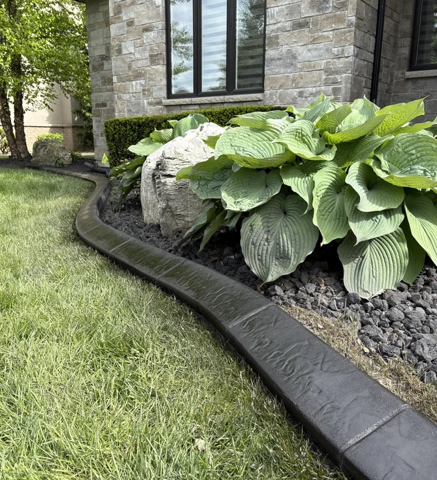 Charcoal slate-stamped concrete curb along a black lava-rock foundation bed planted with large hostas at a stone-front home.