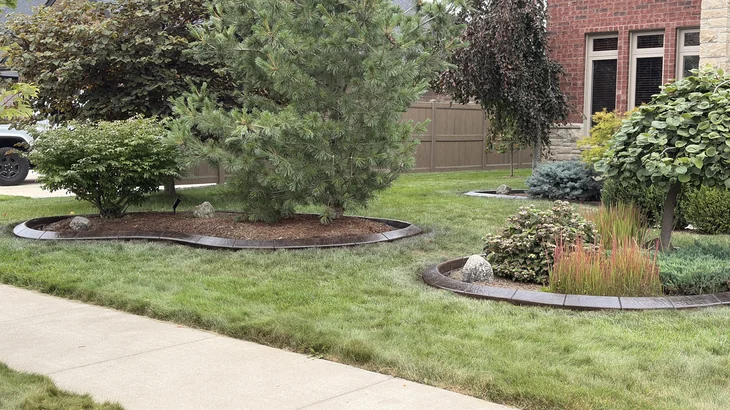 Chocolate-brown stamped concrete curb around a mulch bed of mature pines, with a smaller ornamental grass island beyond.