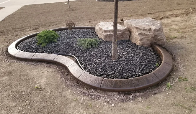 Kidney-shaped brown stamped concrete curbing framing a newly planted tree and a black lava-rock bed in a front yard.
